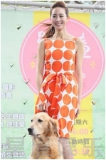 ����鿴��ͼ