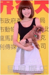 ����鿴��ͼ