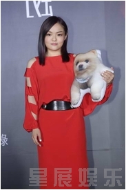 ����鿴��ͼ